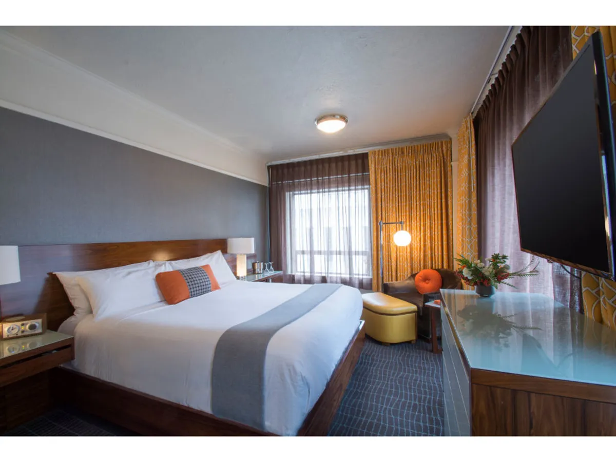 A modern, comfortable guest room featuring a plush bed, television, seating area, and flowing curtains. Sunlight streams into the room, creating an inviting spot for relaxing, reading, or planning adventures with your pet by your side.